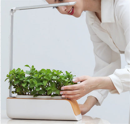 Desk Lamp Hydroponic Indoor Herb Garden Kit Smart Multi-Function Growing Led Lamp For Flower Vegetable Fruit Plant Growth Light