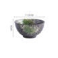 Japanese Porcelain Soup Bowl Sushi Tableware