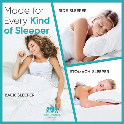 Five-Star Goose Down Pillow